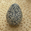 Crystal Egg - dalmation jasper