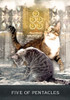 Grimalkin's Curious Cats Tarot