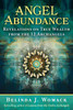 Book -  Angel Abundance