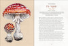 Book - Mystical Mushrooms