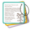 Learning Cards -  Apothecary Flashcards