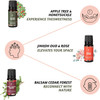 Folkessence Essential Oils - You're So Loved Pack