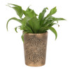 Pot plant Holder - Green Man