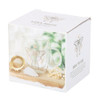 Glass Tea Mug set - Luna Moth