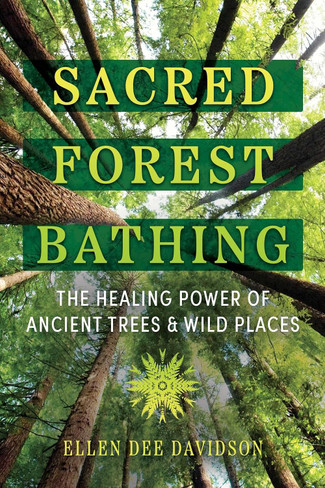 Book - Sacred Forest Bathing