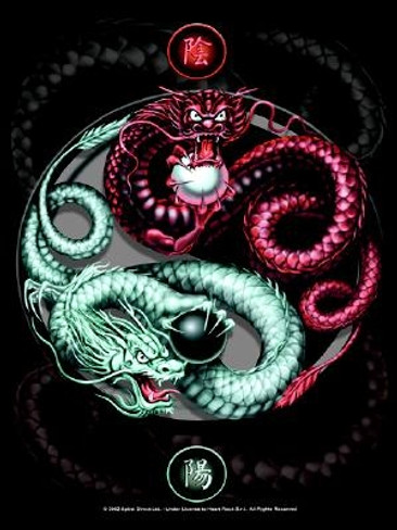 Spiral Design Ying Yang Guardian