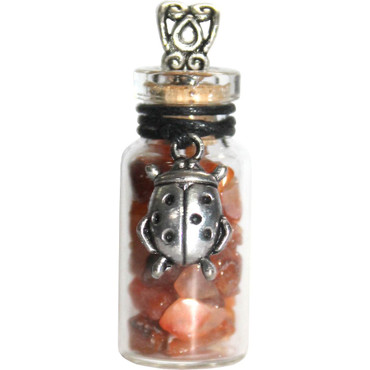 Witch Bottle - Carnelian + Ladybird