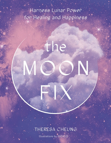 Book - The Moon Fix