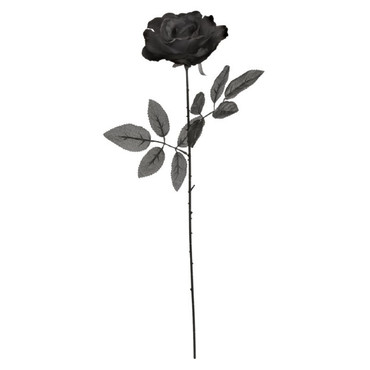 All Black Rose