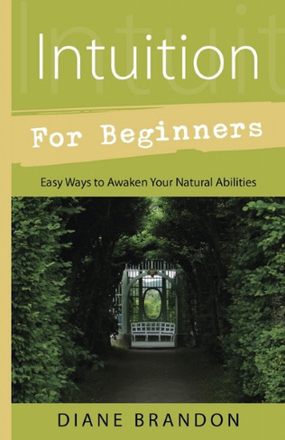 Book For Beginners - Intuition