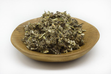 Mugwort