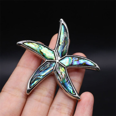 Brooch - Abalone Starfish