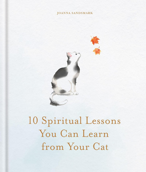 Lessons from Your Cat