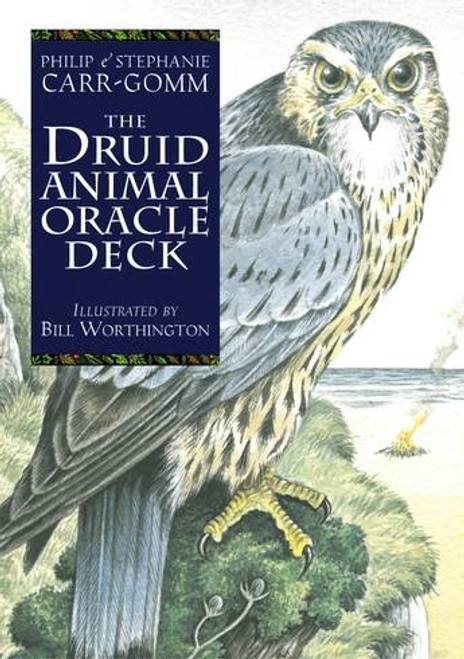 Oracle Cards - Druid Animal
