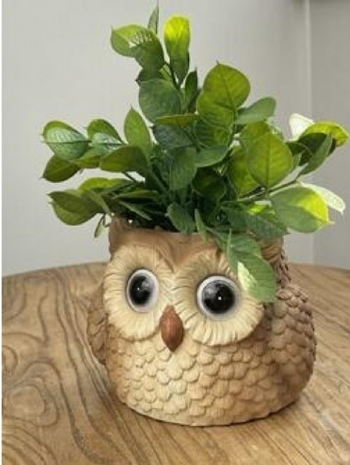 Brown Owl Pot Plant Holder