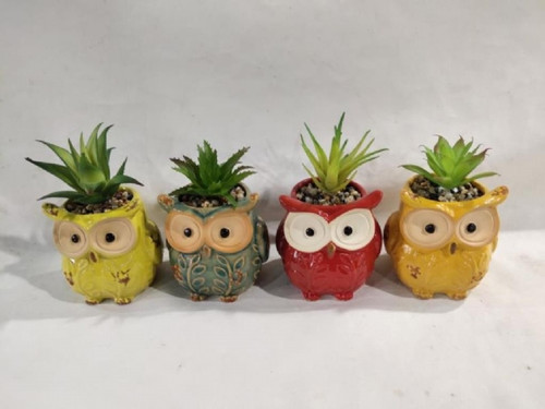 Colour Owl Planter set