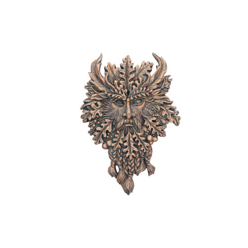 Wall Plaque - Bronze Ent