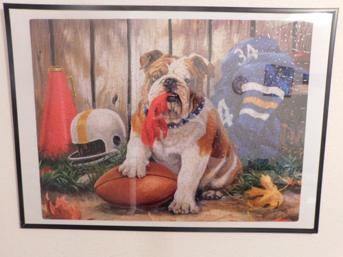 Football Bull Dog Football Bull Dog