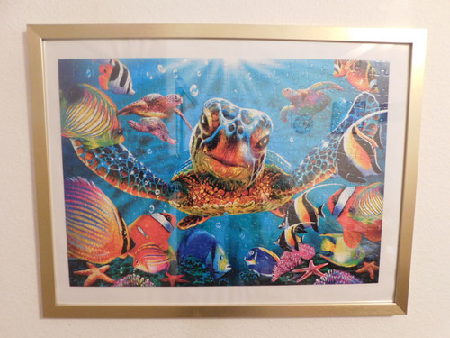 Turtle Fun Turtle Fun