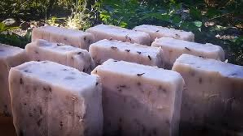 Lavender Hand Soap Lavender Hand Soap
