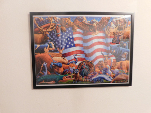 All American Animals All American Animals