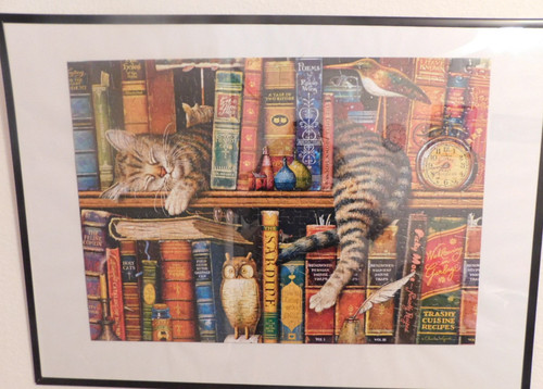 Cat in the Books Cat in the Books