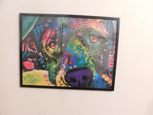 Pit Bull Pit Bull