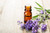 Essential oils Raw .75 ounce