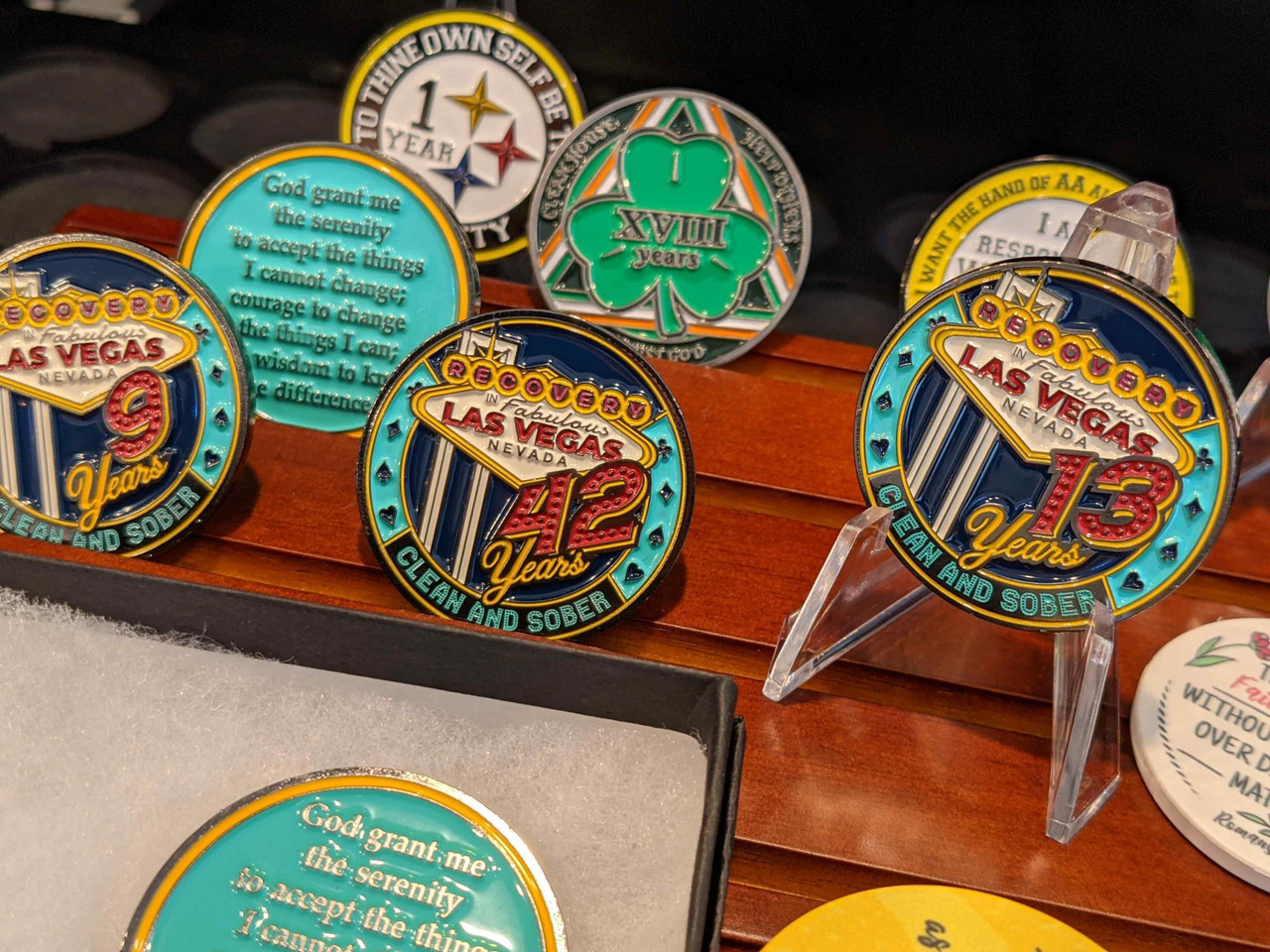 NEW Las Vegas Yearly Recovery MedallionAA or NA! Doing It Sober