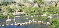 Coming Out At The Kern River With Friends And Newcomers