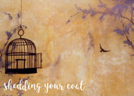 ​Shedding Your Coat