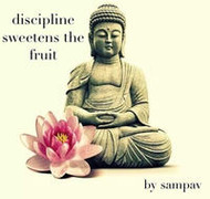 ​Discipline Sweetens The Fruit
