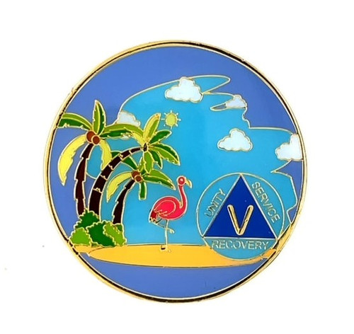 Stood in the Sunlight Beach Footsteps AA Recovery Medallion (1-60 yrs) 24hrs/18m