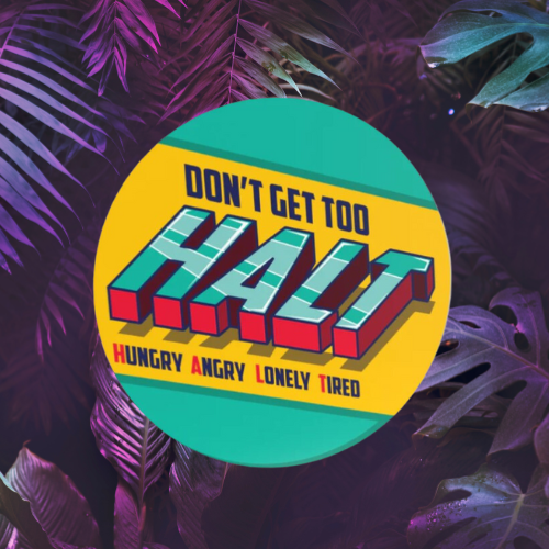 Don't Get Too HALT Recovery Poker Chip Don't Get Too HALT Recovery Poker Chip