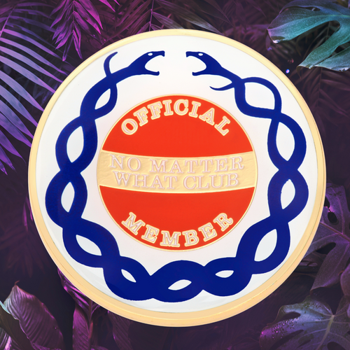 Exclusive No Matter What Club Coin - Just For Today NA Recovery Medallion Exclusive No Matter What Club Coin - Just For Today NA Recovery Medallion