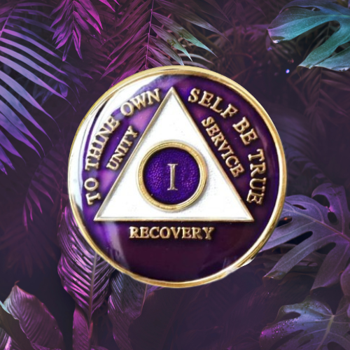 AA Purple Tri-plate Medallion 1-65 Years! Alcoholics Anonymous Anniversary Coin AA Purple Tri-plate Medallion 1-65 Years! Alcoholics Anonymous Anniversary Coin