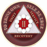 AA Bling w White Crystal Circle on Red Medallion Years 1-65 AA Bling w White Crystal Circle on Red Medallion Years 1-65