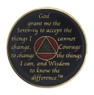 AA Bling w White Crystal Circle on Red Medallion Years 1-65 AA Bling w White Crystal Circle on Red Medallion Years 1-65