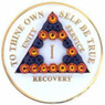 AA Glow in Dark Medallion Orange/Black Triangle Bling Years 1-65 /24hrs