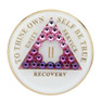 AA Glow in Dark Medallion Transition Pink Crystals (Years 1-65 & 24hrs)