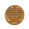  Bronze Vietnam Vet in Recovery Coin - Specialty Medallion 