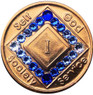 NA Bronze Transition Blue Bling Medallion Yrs 1-60