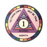 AA Alcoholics Anonymous Recovery Rainbow Monthly Chip - LGBT