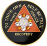 AA Black Recovery Medallion w Orange 10th Step Bling (Yrs 1-40) AA Black Recovery Medallion w Orange 10th Step Bling (Yrs 1-40)