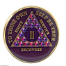 AA Alcoholics Anonymous Tri-plate Purple & Volcano Crystals Medallion