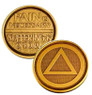 AA Pain Is Necessary Suffering Is Optional Bronze Recovery Coin