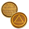 AA Pain Is Necessary Suffering Is Optional Bronze Recovery Coin