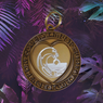 Antique Gold NA Wave® Love Narcotics Anonymous Recovery Coin w/Key Ring