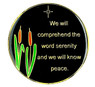 We Will Know Peace AA Dragonfly Recovery Medallion (1-60 yrs) 24hrs/18m