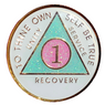 New Premium AA Yearly Pink Cloud Glitter Recovery Medallion